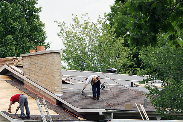 Best Storm Damage Roof Repair  in Premont, TX